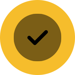 check-circle (yellow)-1