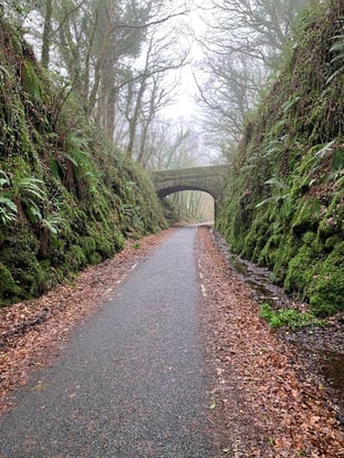 a country road leading under a stone bridge