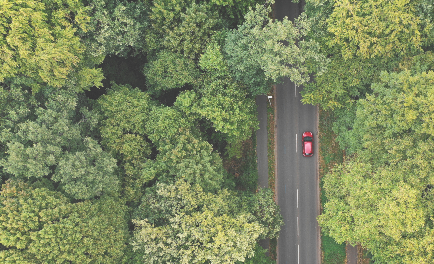 a birds eye view of a straight road through a forest There is one red car on the road.