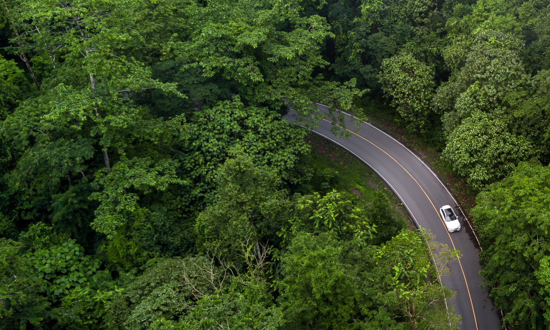 a birds eye view of a road in a forest