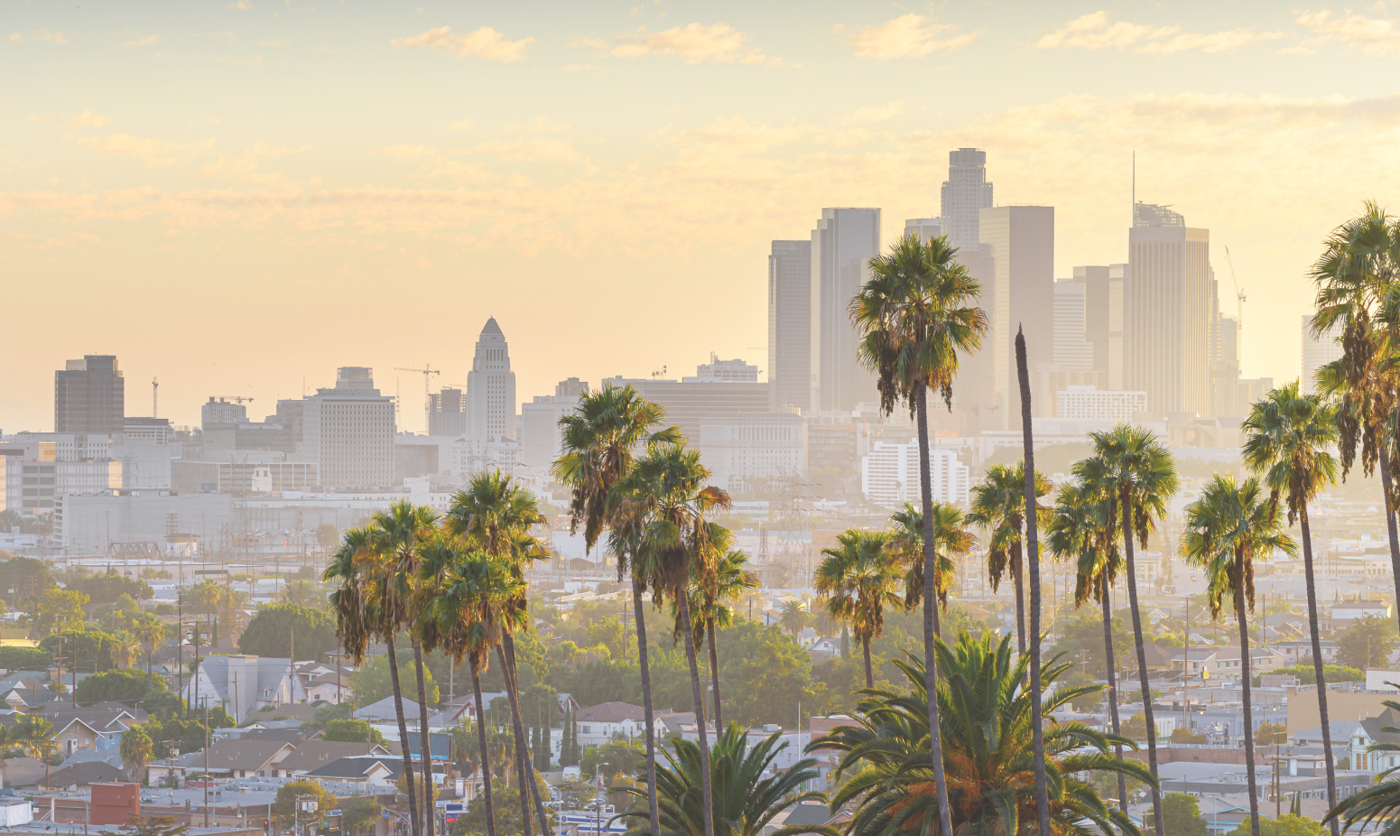 a city skyline at dawn with palm trees in the foreground