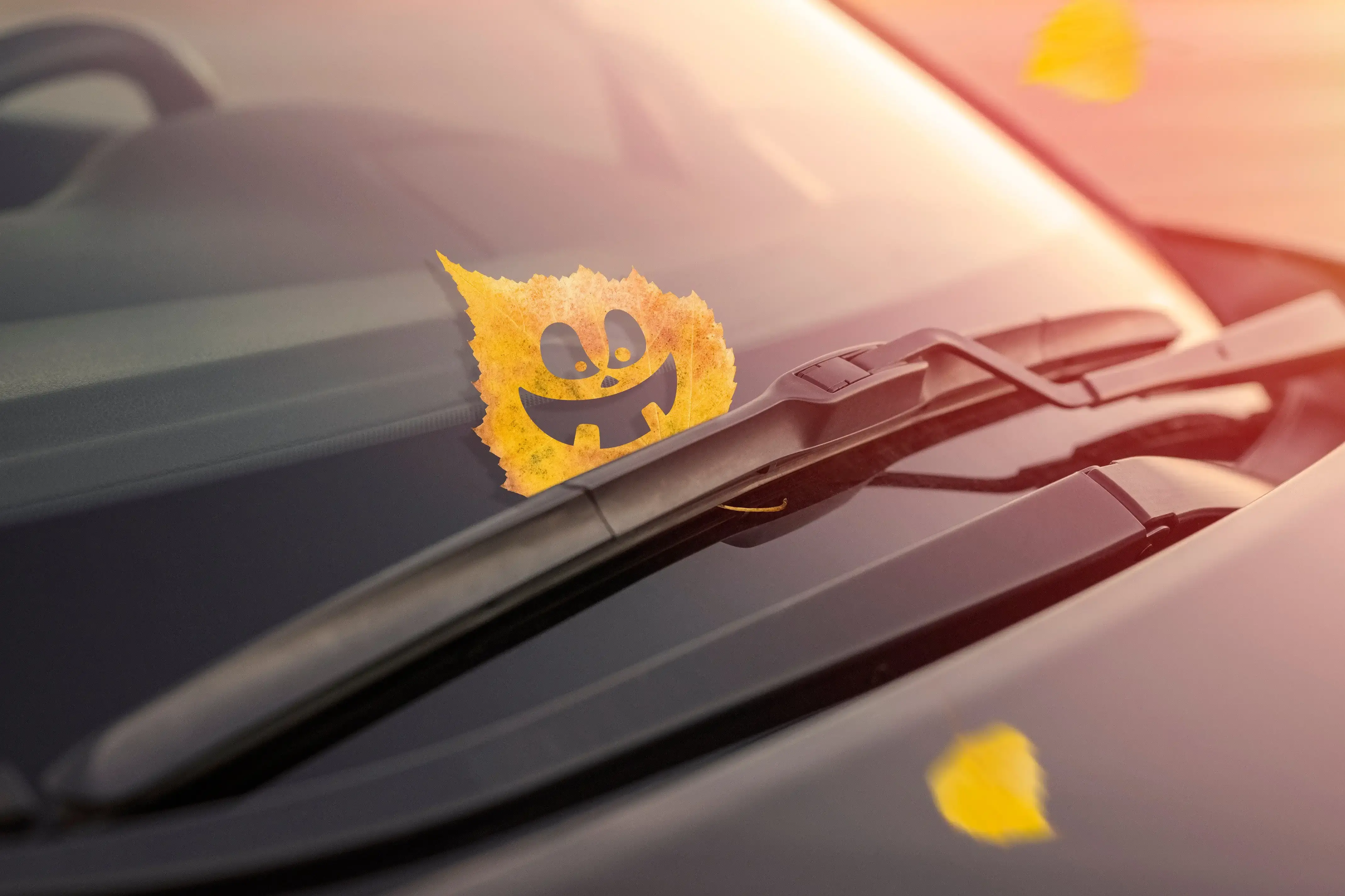 A halloween leaf on a windscreen