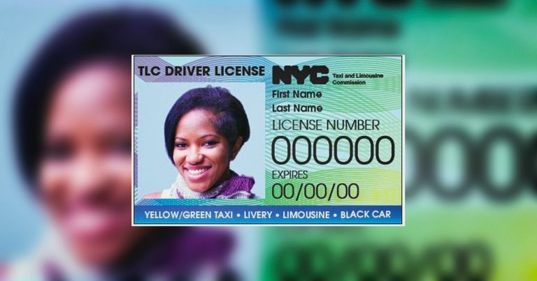 NYC driver licence